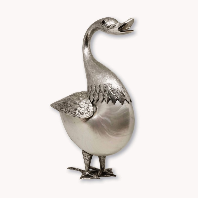 Nautilus Shell Duck