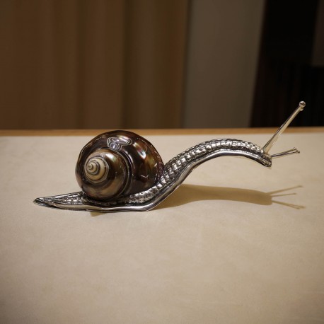 Brown shell snail