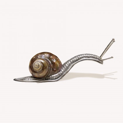Brown shell snail