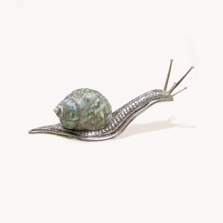 Green shell snail