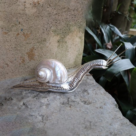 White shell snail